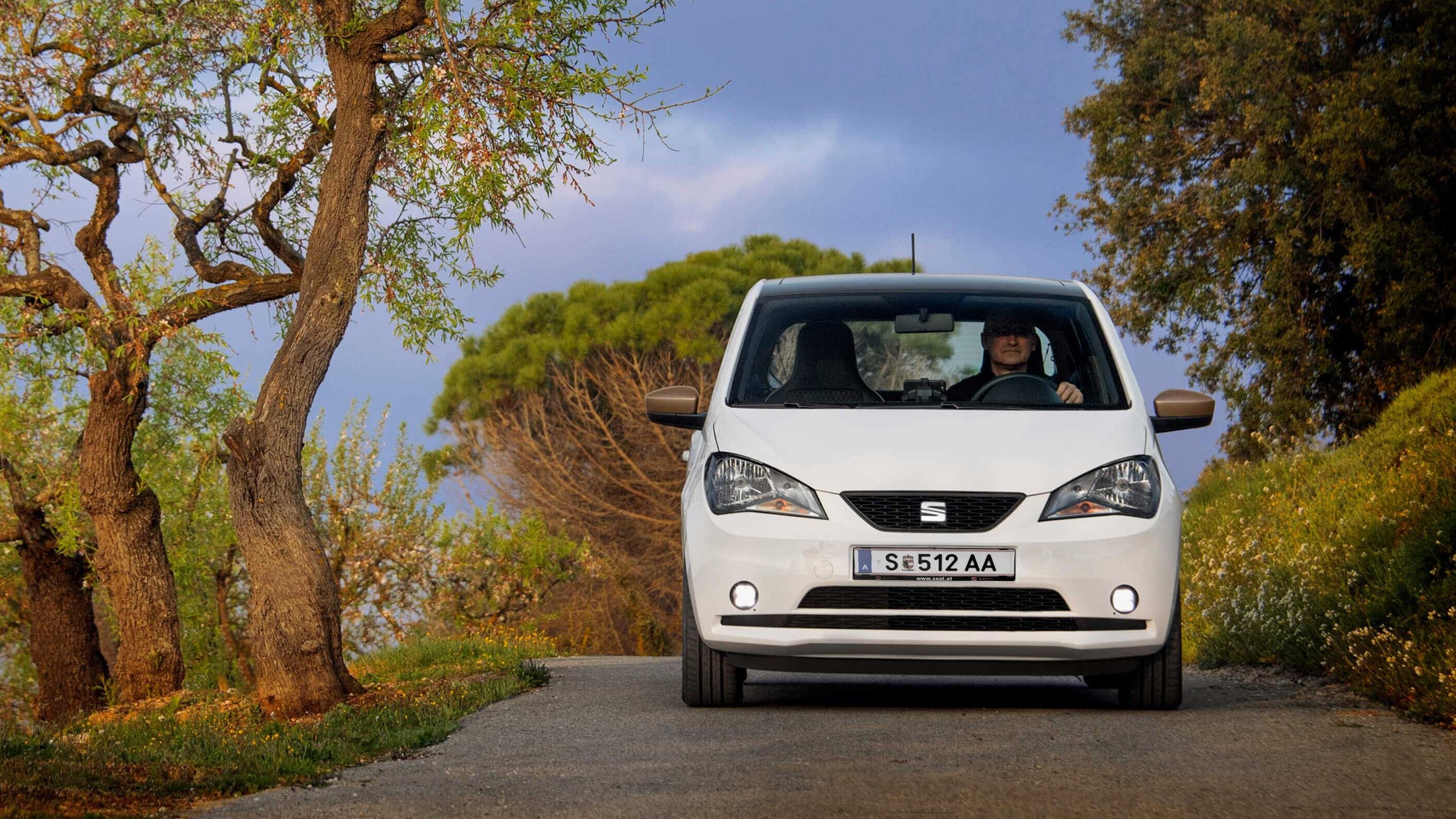 SEAT mii 2010