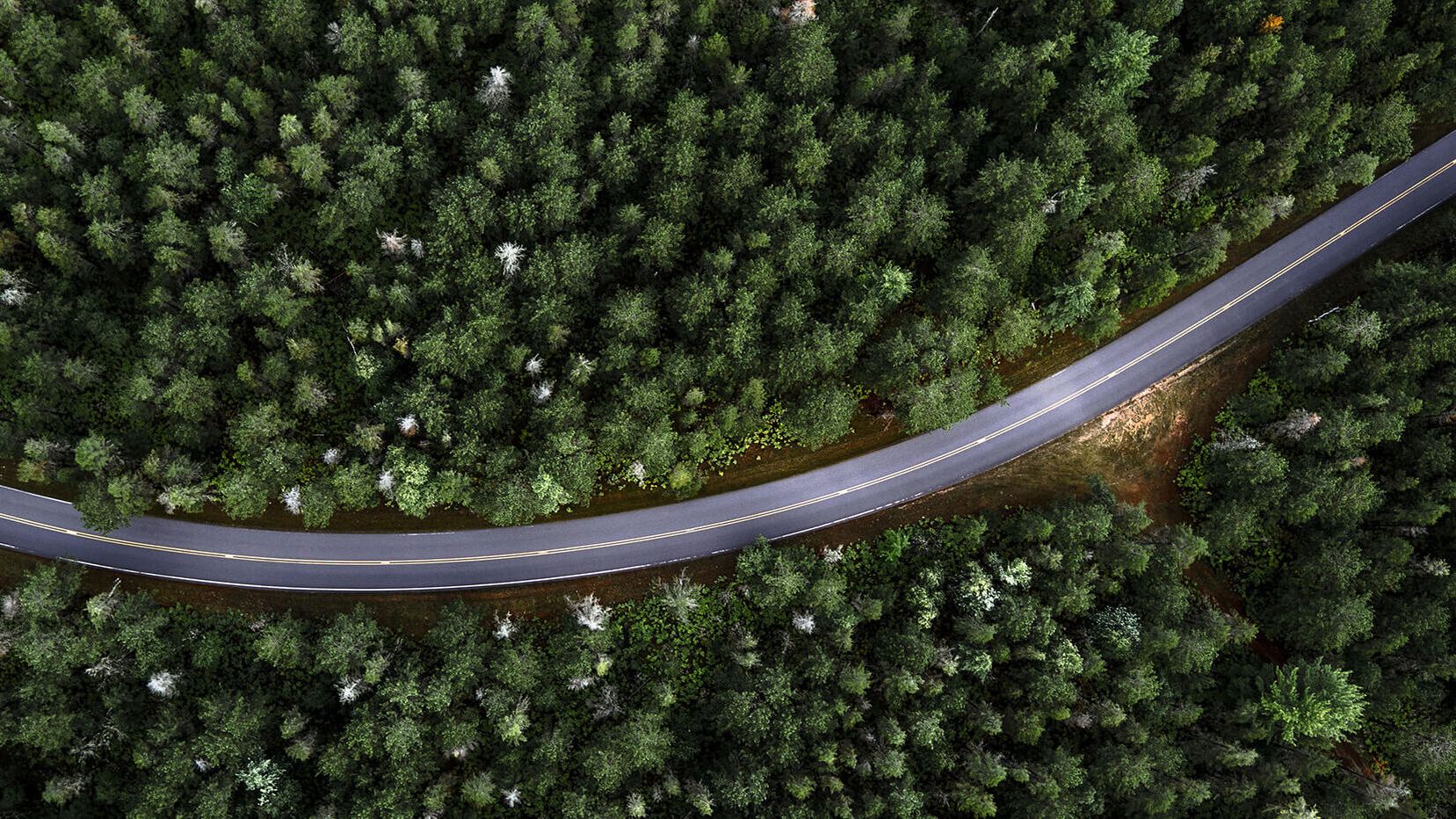 Drohnenaufnahme aus der Vogelperspektive von einer Straße zwischen Wälder 